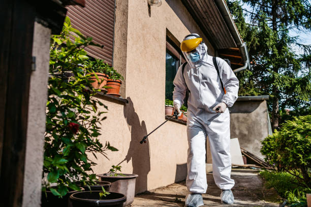 Best Local Pest Control Services  in Oak Grove, MN