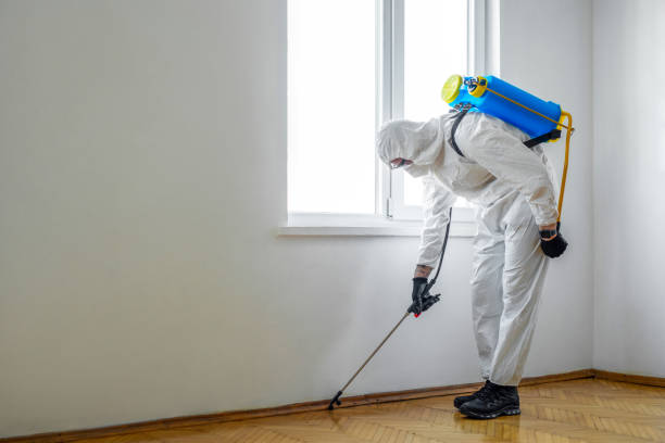 Best Rat Extermination Near Me  in Oak Grove, MN