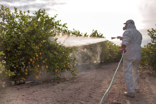 Best Residential Pest Control  in Oak Grove, MN