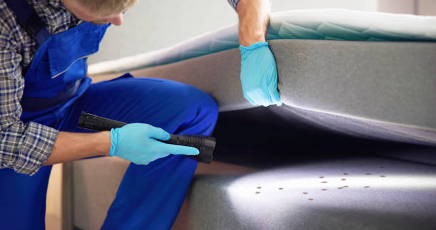 Best Flea Control Services  in Oak Grove, MN