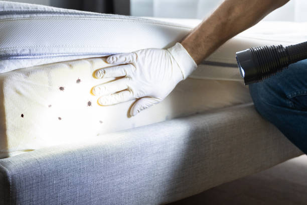 Best Commercial Pest Control Services  in Oak Grove, MN