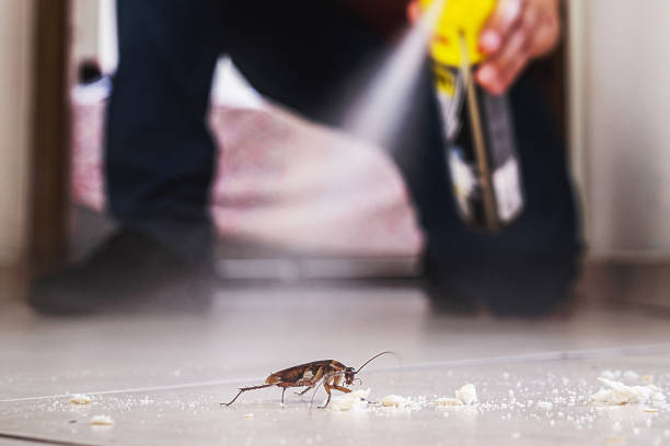 Best Local Pest Control Services  in Oak Grove, MN