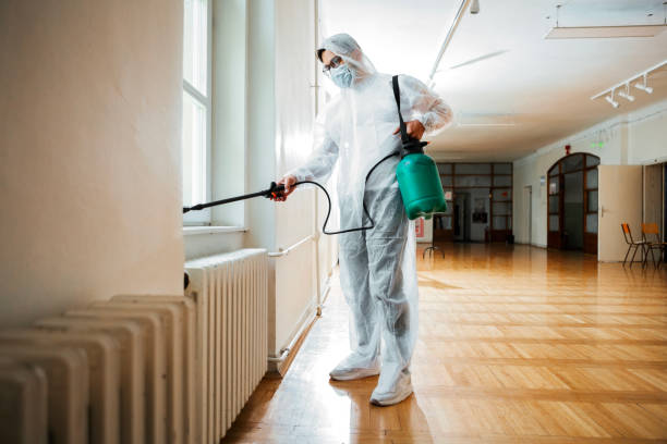 Best Termite Control Services  in Oak Grove, MN