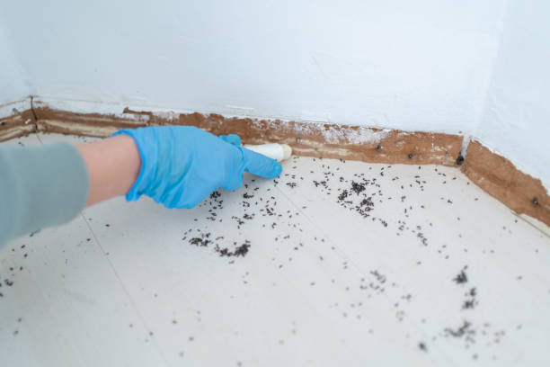 Best Pest Removal Services  in Oak Grove, MN